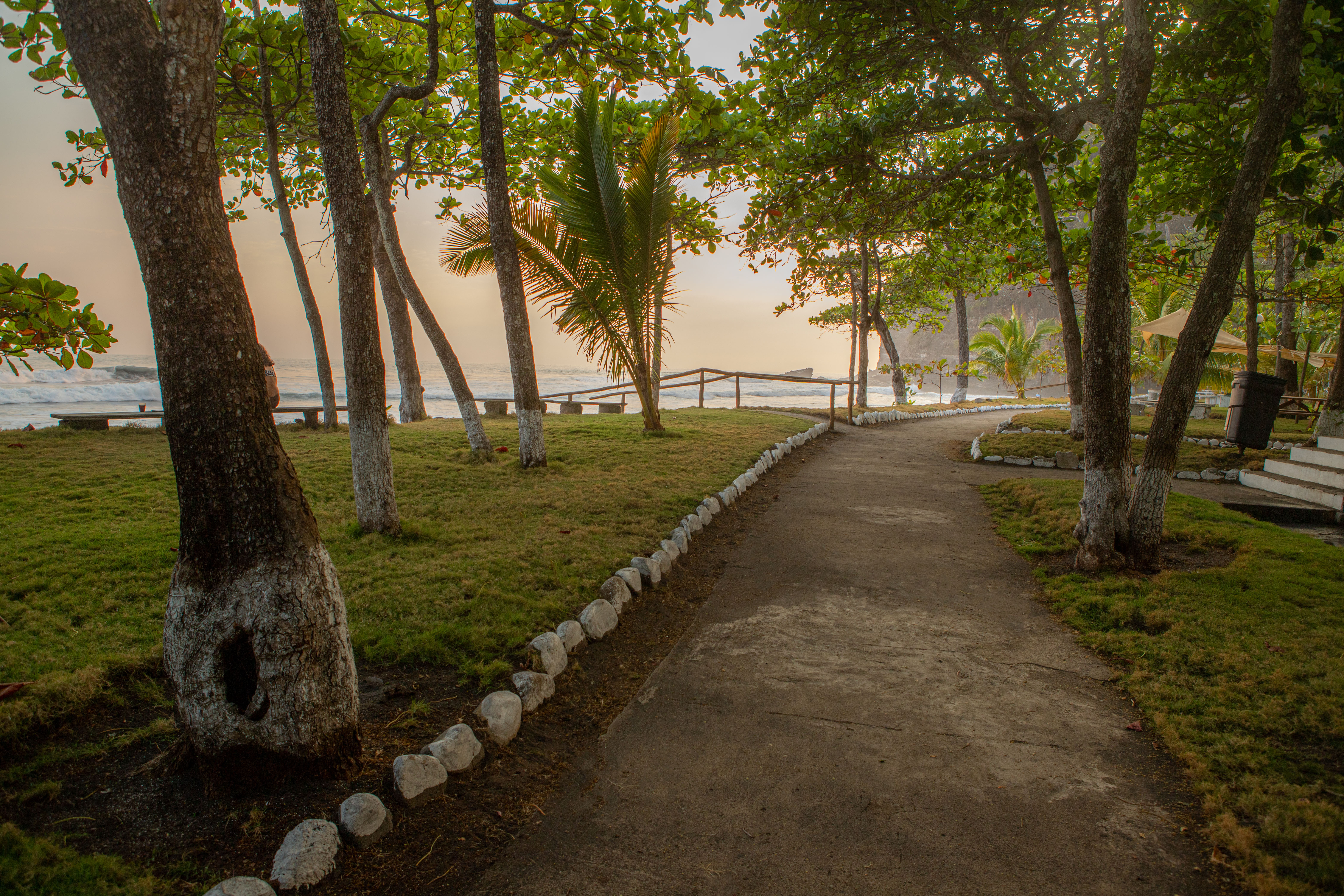 Shaded beach path
